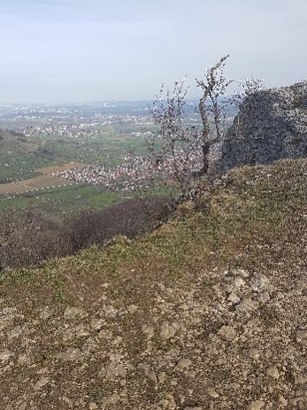 Aussicht vom Breitenstein